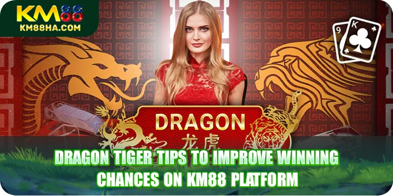 Dragon Tiger Tips To Improve Winning Chances On KM88 Platform
