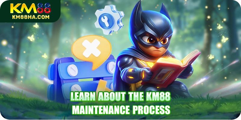 Learn about the KM88 maintenance process